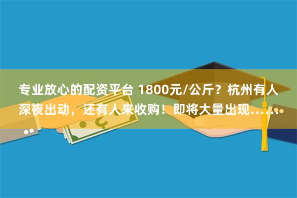 专业放心的配资平台 1800元/公斤？杭州有人深夜出动，还有人来收购！即将大量出现……