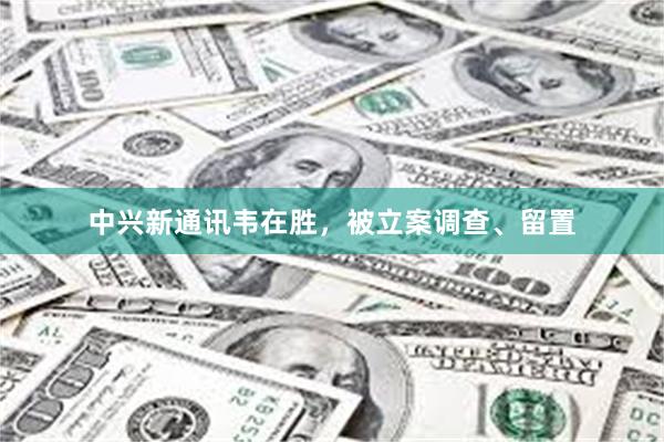 中兴新通讯韦在胜，被立案调查、留置