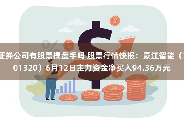 证券公司有股票操盘手吗 股票行情快报：豪江智能（301320）6月12日主力资金净买入94.36万元