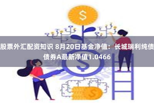 股票外汇配资知识 8月20日基金净值：长城瑞利纯债债券A最新净值1.0466