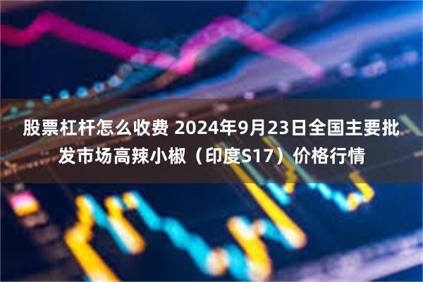 股票杠杆怎么收费 2024年9月23日全国主要批发市场高辣小椒（印度S17）价格行情