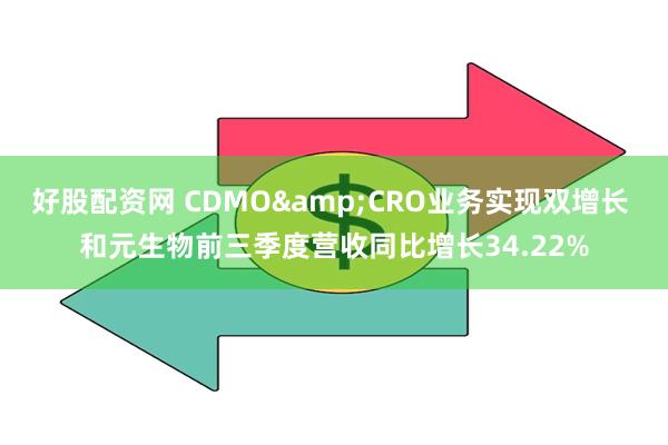 好股配资网 CDMO&CRO业务实现双增长 和元生物前三季度营收同比增长34.22%