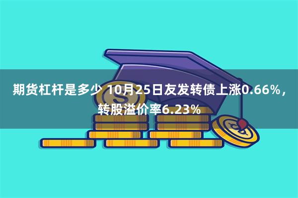 期货杠杆是多少 10月25日友发转债上涨0.66%，转股溢价率6.23%