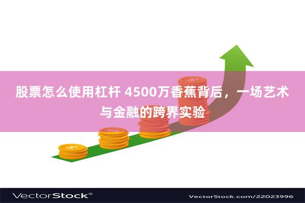 股票怎么使用杠杆 4500万香蕉背后，一场艺术与金融的跨界实验