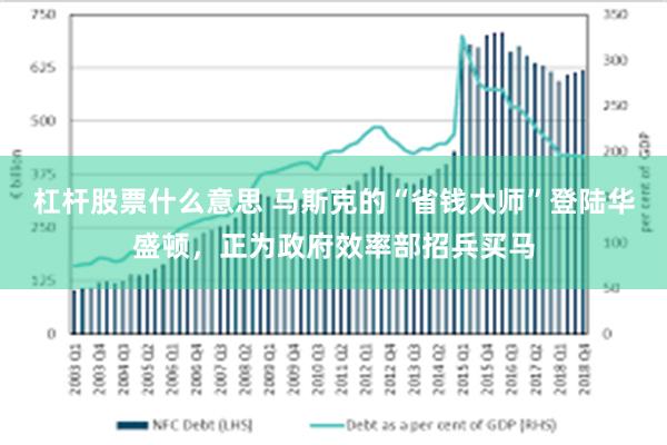 杠杆股票什么意思 马斯克的“省钱大师”登陆华盛顿，正为政府效率部招兵买马