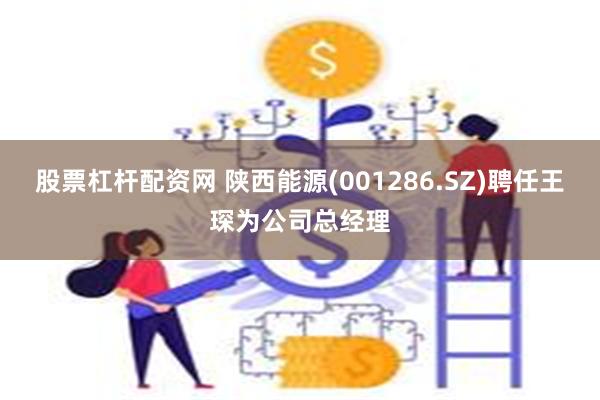 股票杠杆配资网 陕西能源(001286.SZ)聘任王琛为公司总经理