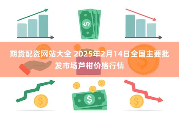 期货配资网站大全 2025年2月14日全国主要批发市场芦柑价格行情