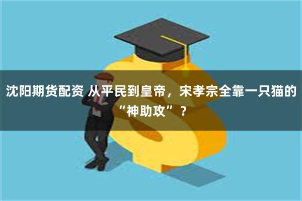 沈阳期货配资 从平民到皇帝，宋孝宗全靠一只猫的“神助攻” ？